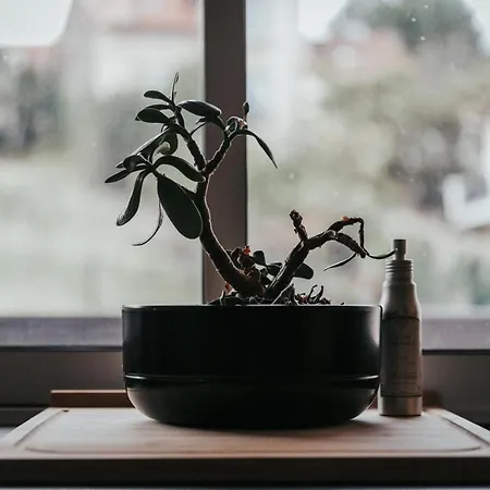 Apartment F3 Neuf Et Equipe Avec Balcon 